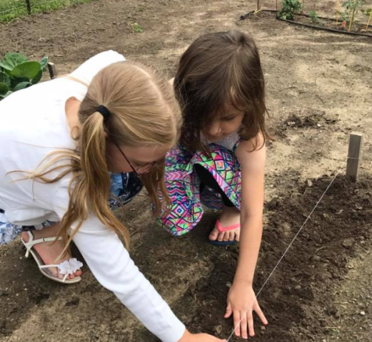 Agency Photo  (272877)