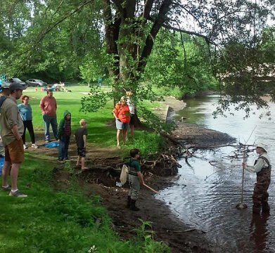 Agency Photo  (257452)