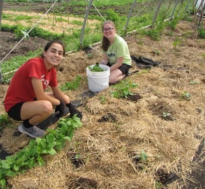 Agency Photo  (272903)