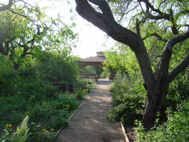 Agency Photo  (68691)