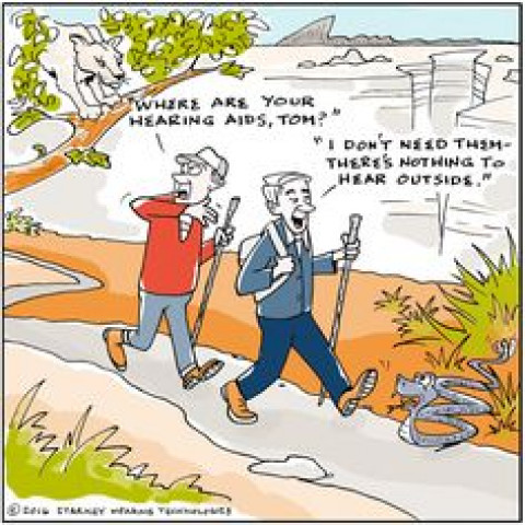 Agency Photo  (117596)