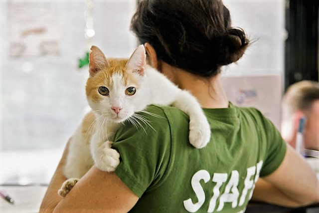 Agency Photo  (167861)