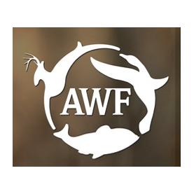 Agency Logo