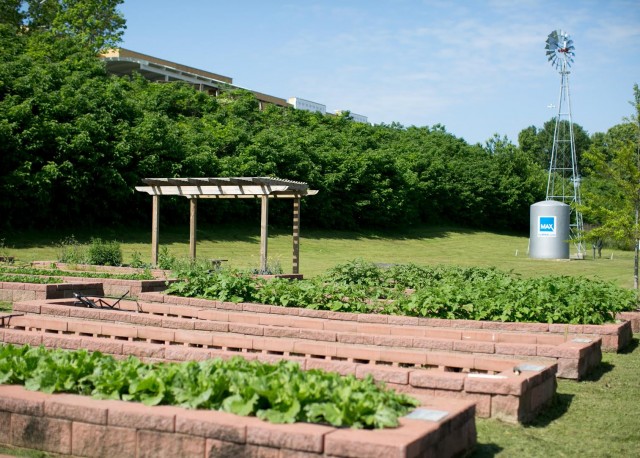 Agency Photo  (52268)