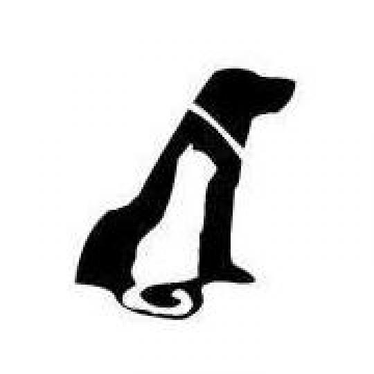 Agency Logo