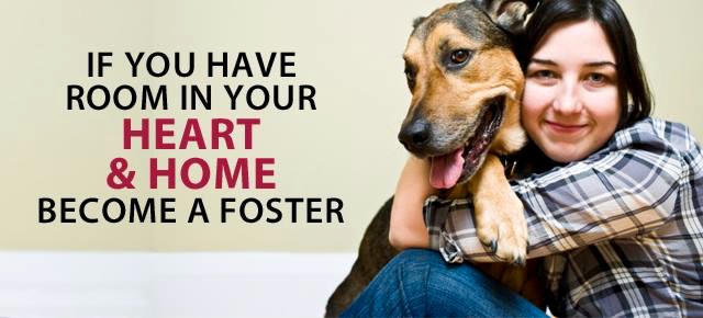 Agency Photo  (53789)