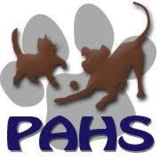 Agency Logo