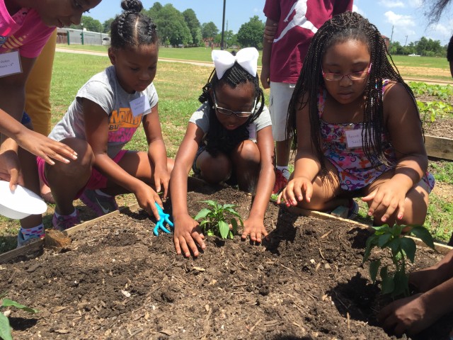 Agency Photo  (60692)