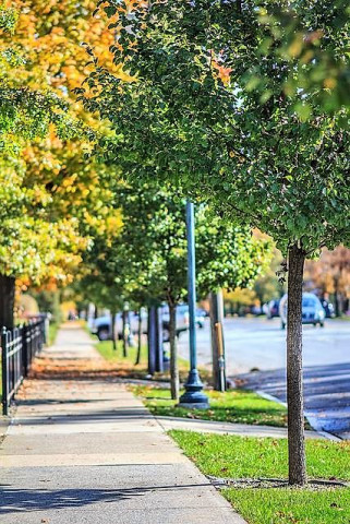 Agency Photo  (129037)