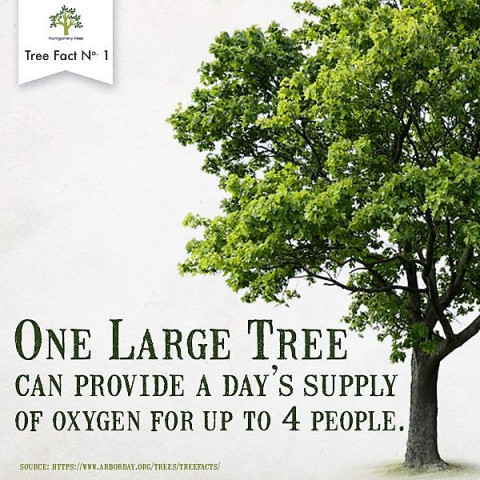 Agency Photo  (129039)