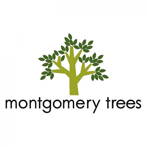 Agency Photo  (129038)