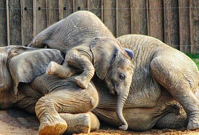 Agency Photo  (52614)