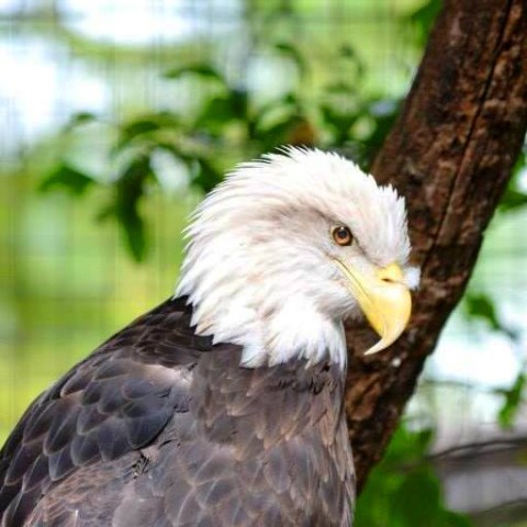 Agency Photo  (52613)