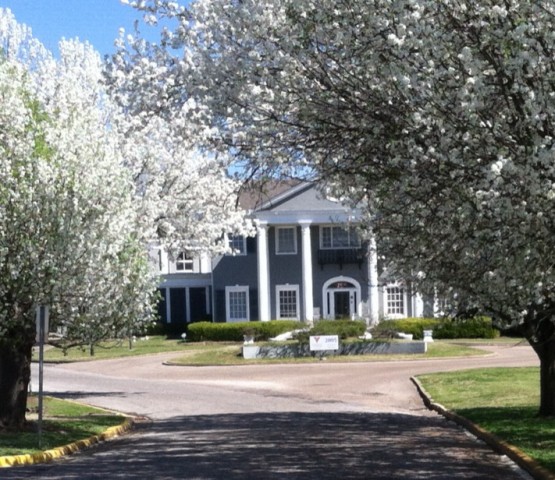 Agency Photo  (51223)