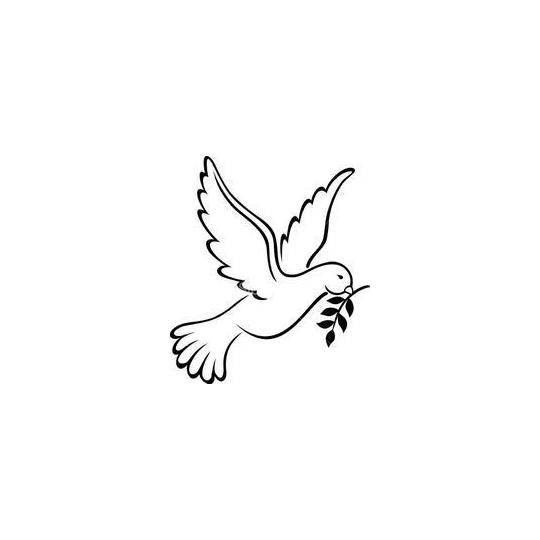 Agency Logo
