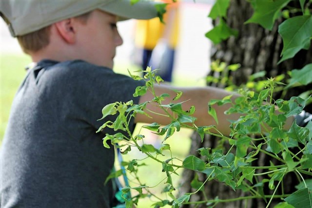 Agency Photo  (99464)