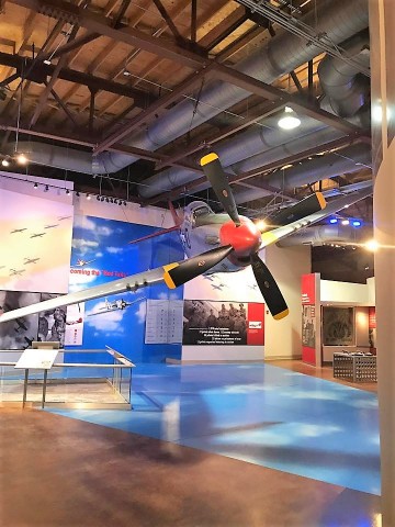 Agency Photo  (111115)