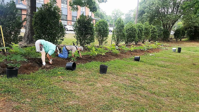 Agency Photo  (117945)