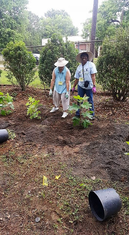 Agency Photo  (117944)