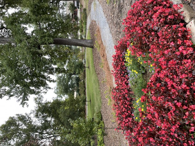 Agency Photo  (180703)