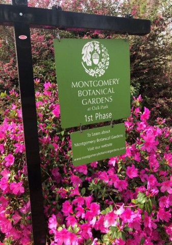 Agency Photo  (190413)