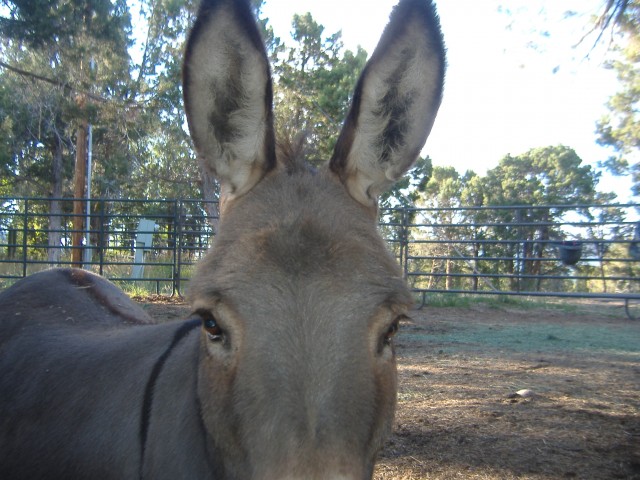 Agency Photo  (107555)