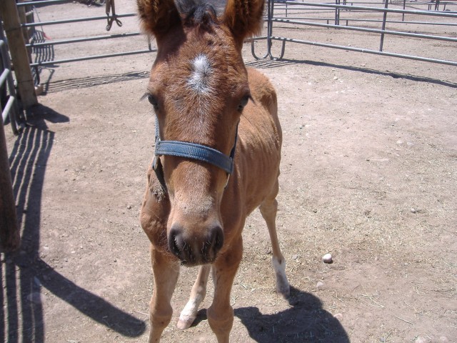 Agency Photo  (107557)