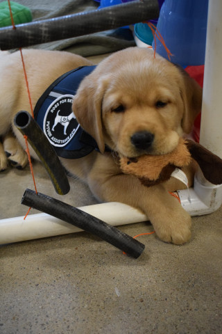 Agency Photo  (133400)