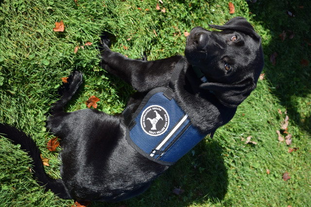 Agency Photo  (140806)