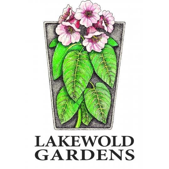 Agency Logo