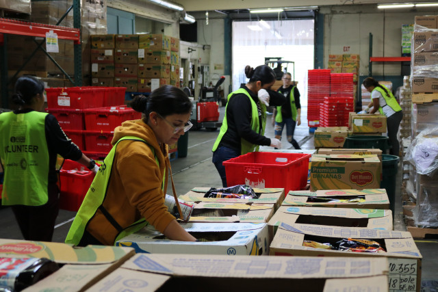 Agency Photo  (138597)