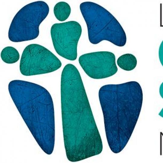Agency Logo