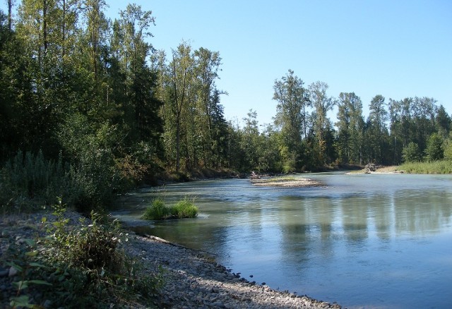 Agency Photo  (52559)