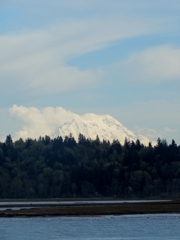 Agency Photo  (52560)