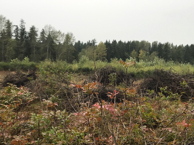 Agency Photo  (157588)