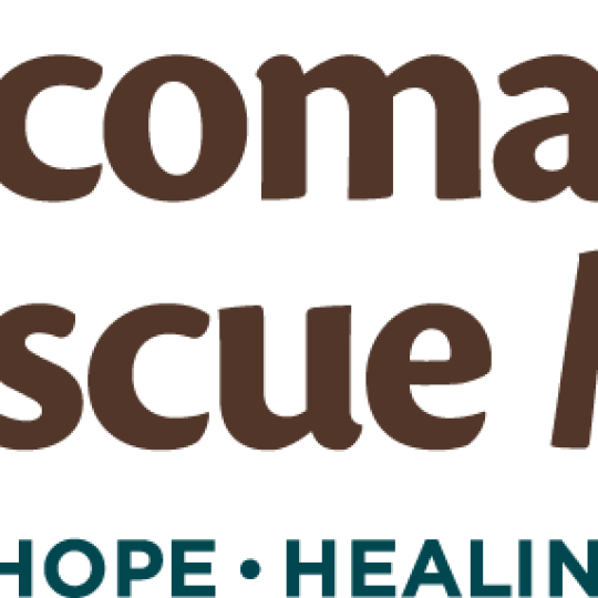 Agency Logo