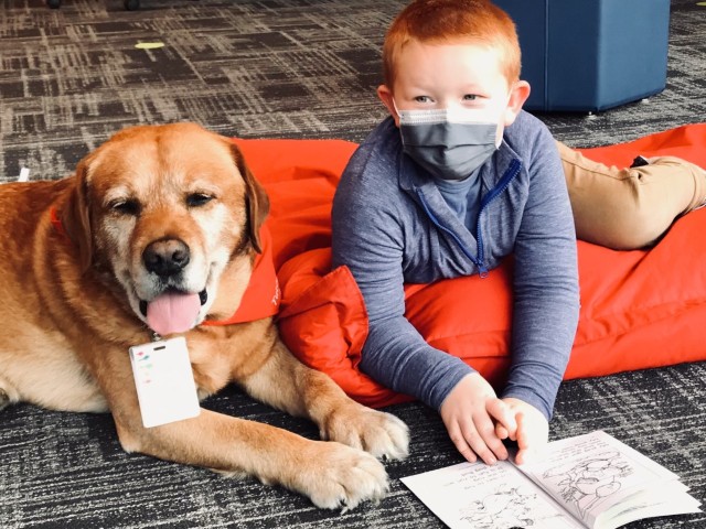 Agency Photo  (186687)