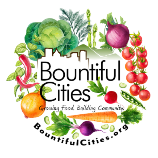 Organization Logo