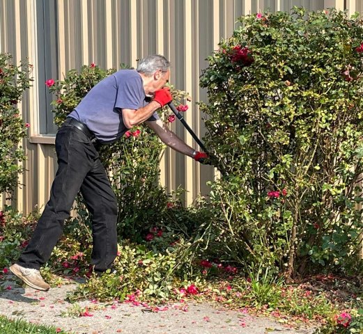 Organization Photo  (254341)