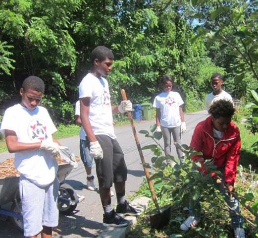 Organization Photo  (254382)