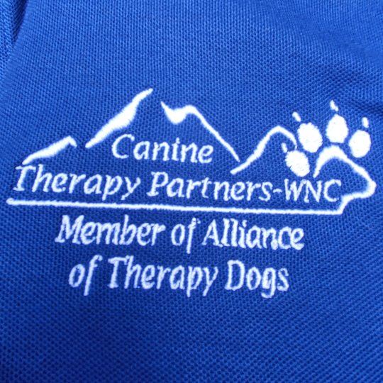 Organization Logo