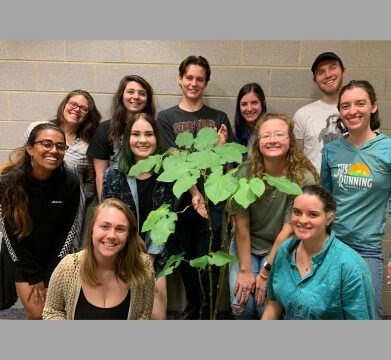 Organization Photo  (254111)