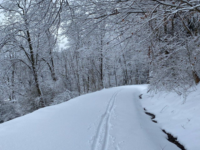 Organization Photo  (161365)