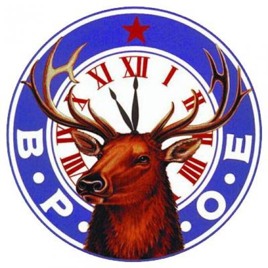 Organization Logo