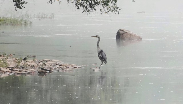 Organization Photo  (212010)