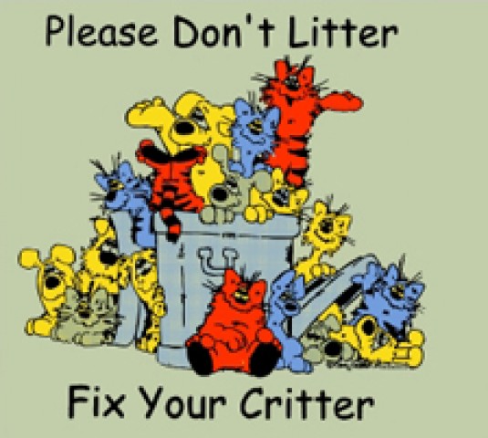 Organization Photo  (59433)