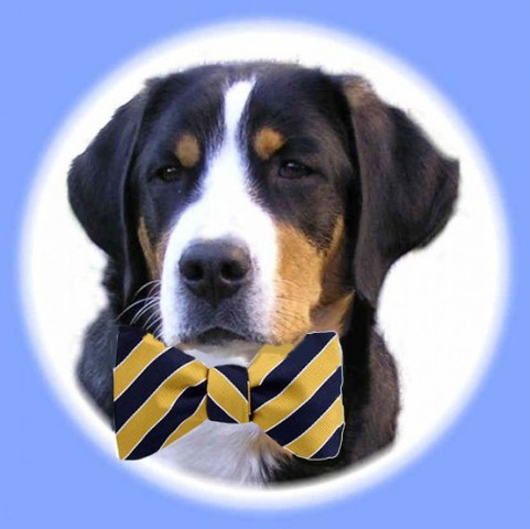 Organization Photo  (59446)