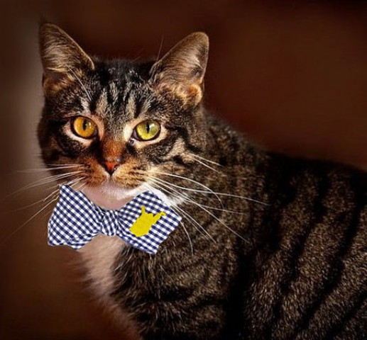 Organization Photo  (59447)