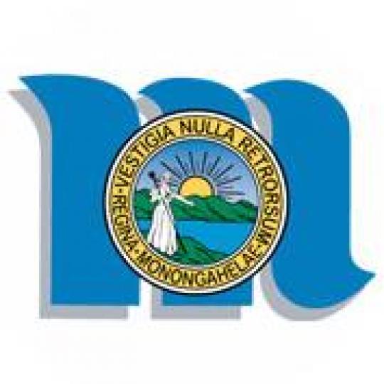 Organization Logo