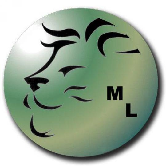Organization Logo